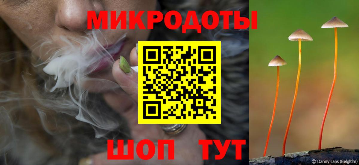 Псилоцибиновые грибы Magic Shrooms  Вход с VPN  Еманжелинск  Псилоцибиновые грибы Psilocybine cubensis 